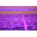 Мини-парник на 18 горшочков со светодиодной фито подсветкой "Форсаж"